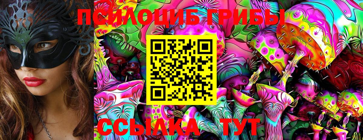 Галлюциногенные грибы Cubensis Грозный