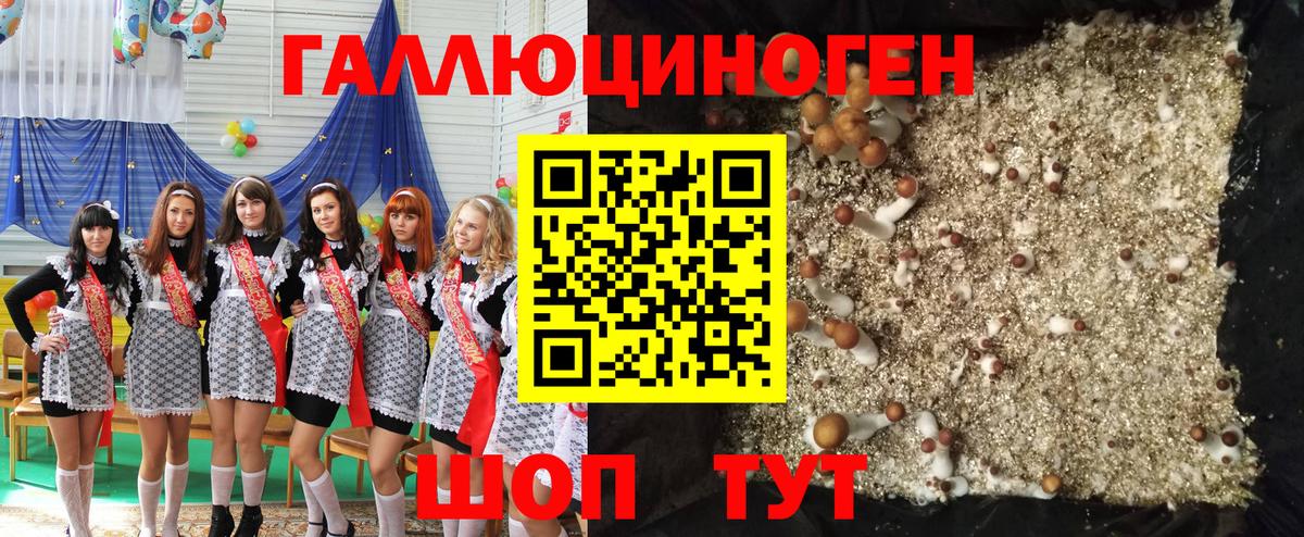 Грозный  Псилоцибиновые грибы Magic Shrooms  Вход с VPN 